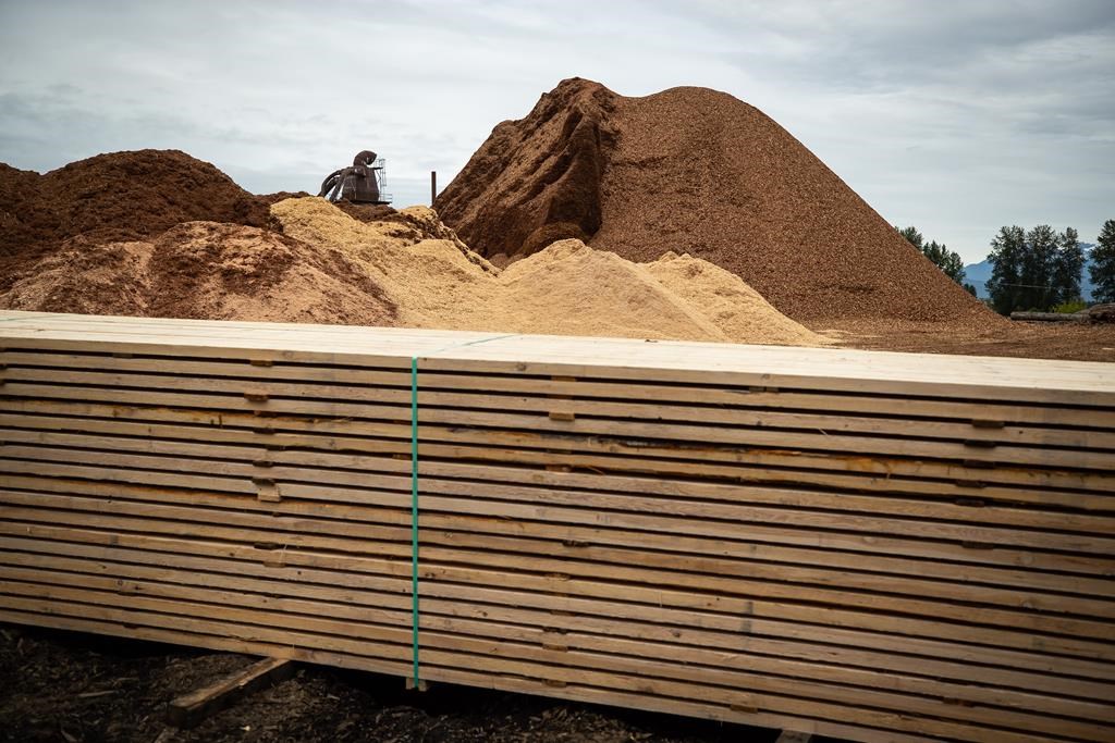 B.C. will stand up to ‘unfair’ duties after sawmill closures: Forests minister