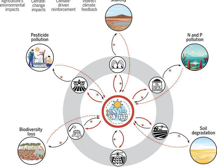 Climate change exacerbates the environmental impacts of agriculture | Science