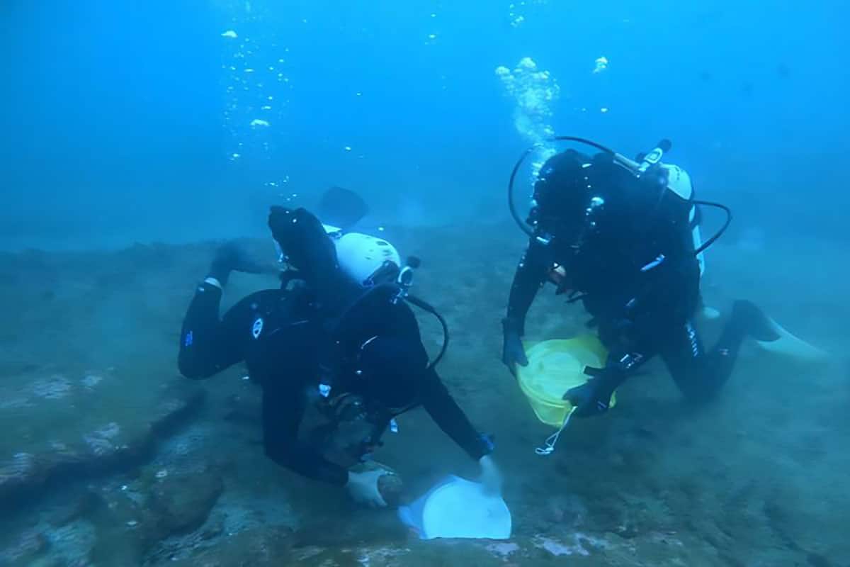 Researchers develop new technique to explore oceanic microbes