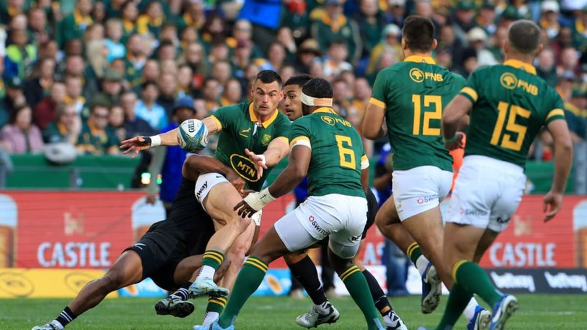 South Africa inflict more pain on New Zealand with 18-12 win