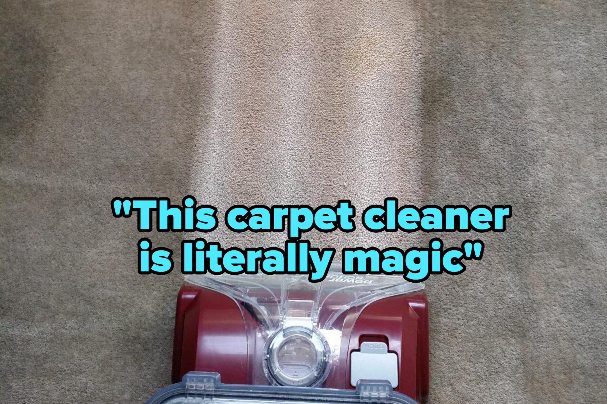 If You Have A Pet, You Probably Need One Of These Carpet Cleaners