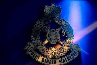 Man injured in Gua Musang wild animal attack