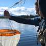 Understanding how human activity impacts zooplankton is essential for managing and protecting lakewater