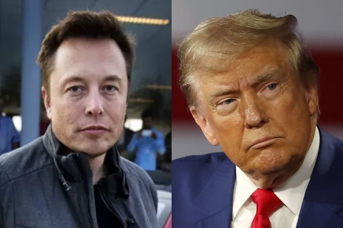 ‘Protect Our…’: Musk And Republicans Push ‘Haitian Immigrants Eating Pets’ Campaign Ahead of US Polls