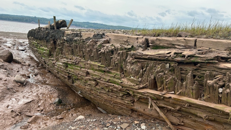 Buried beneath: Historic wooden sailboat re-emerges in N.S. as sand washes away