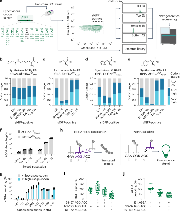 Efficient genetic code expansion without host genome modifications