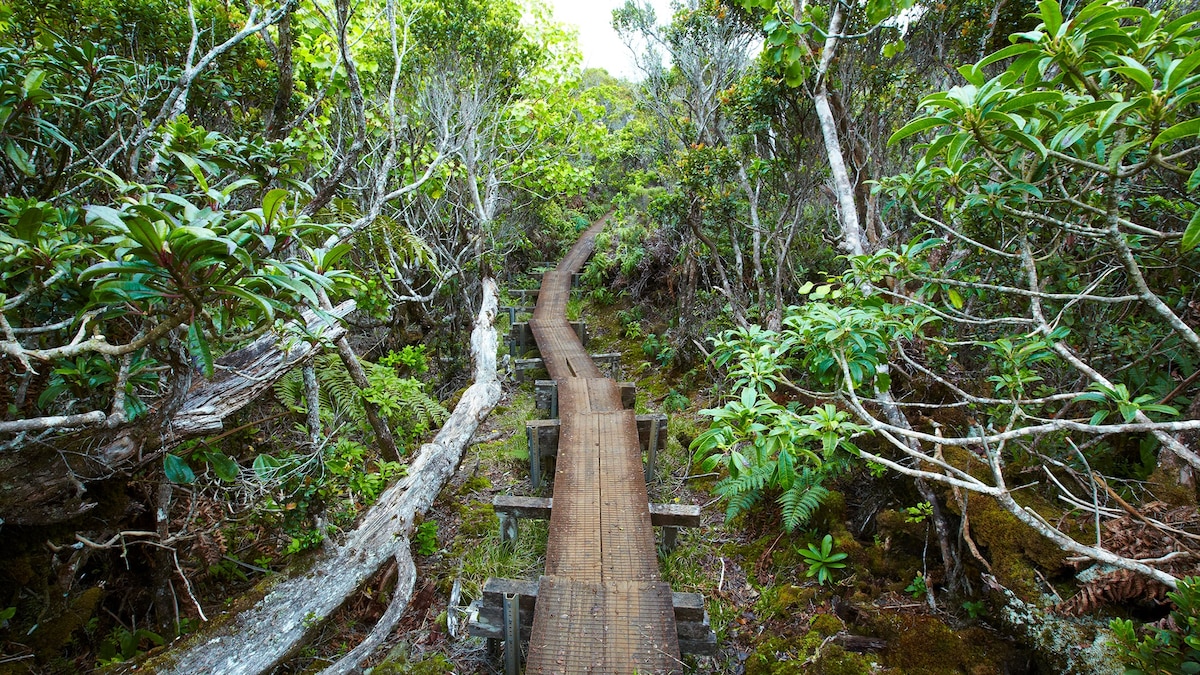 Here’s how to hike responsibly in Hawaii, according to native Hawaiians