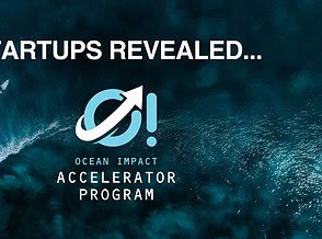 Ocean Impact Organisation Announces Third Accelerator Cohort Winners