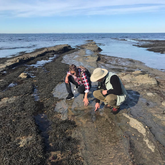 120-Million-Year-Old Footprints of Polar Dinosaurs Discovered in Australia