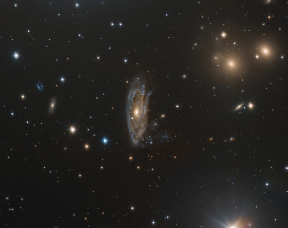 VST Sees Jellyfish Galaxy in Hydra Cluster