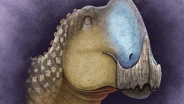 New Duck-Billed Dinosaur Unearthed in Mexico