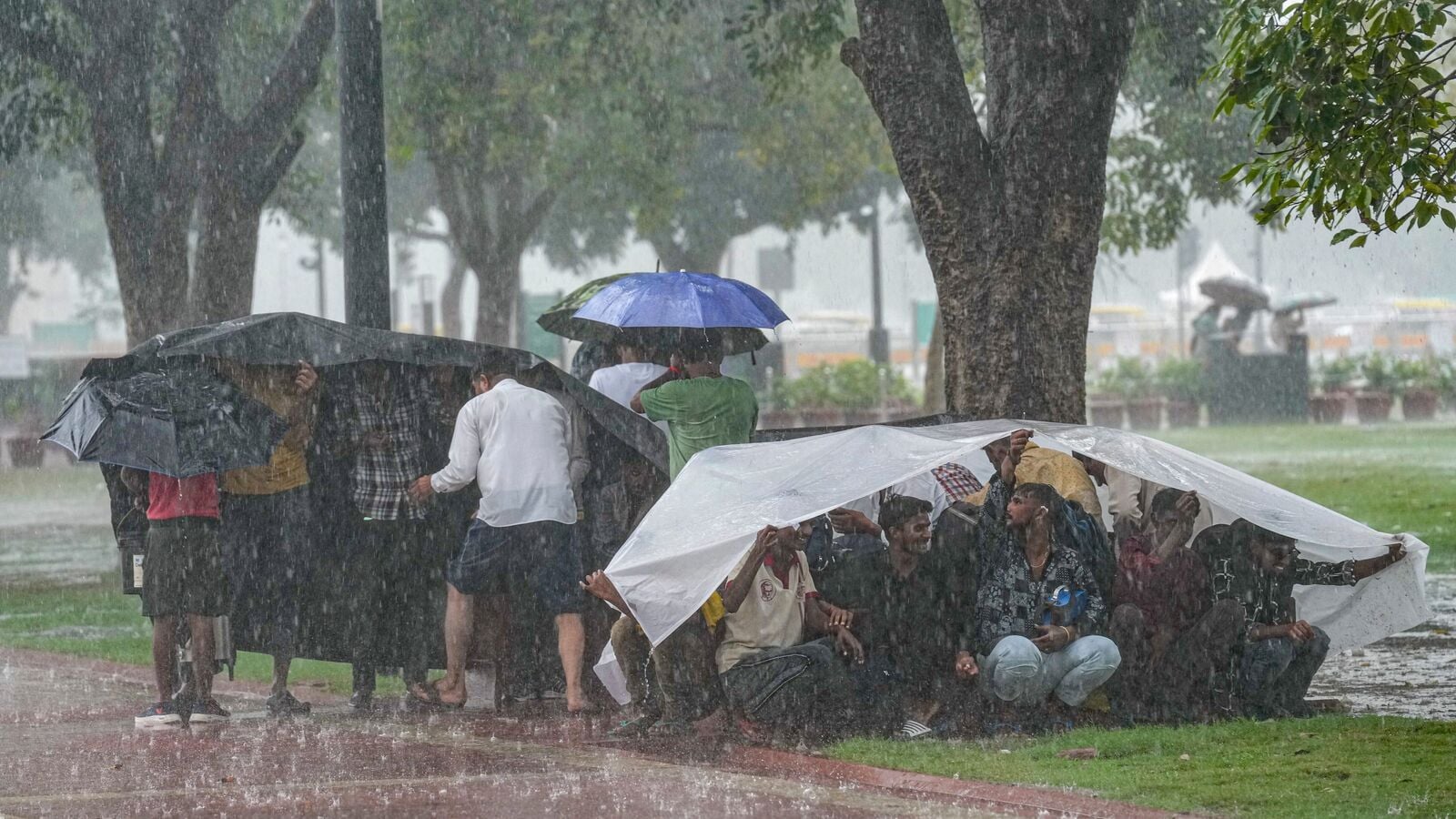 Delhi rains: NCR breathes purest air this year as AQI dips to 52 after record breaking rainfall in September