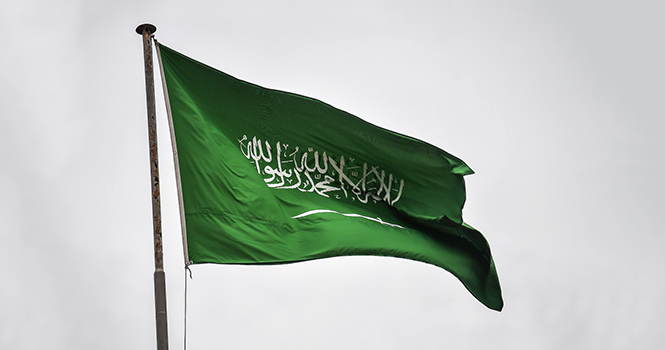 ‎Saudi Arabia rises to 4th position globally in UN e-government index